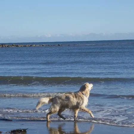 The Snug At Ruston, Cosy Dog Friendly Holiday home Wykeham (Scarborough)