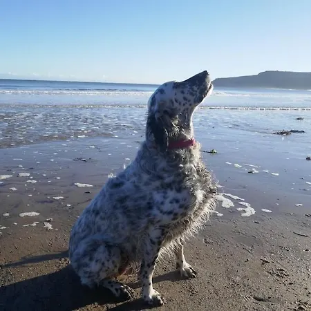 The Snug At Ruston, Cosy Dog Friendly Holiday home *
