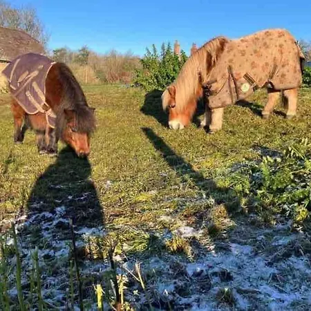 The Snug At Ruston, Cosy Dog Friendly * 위캄